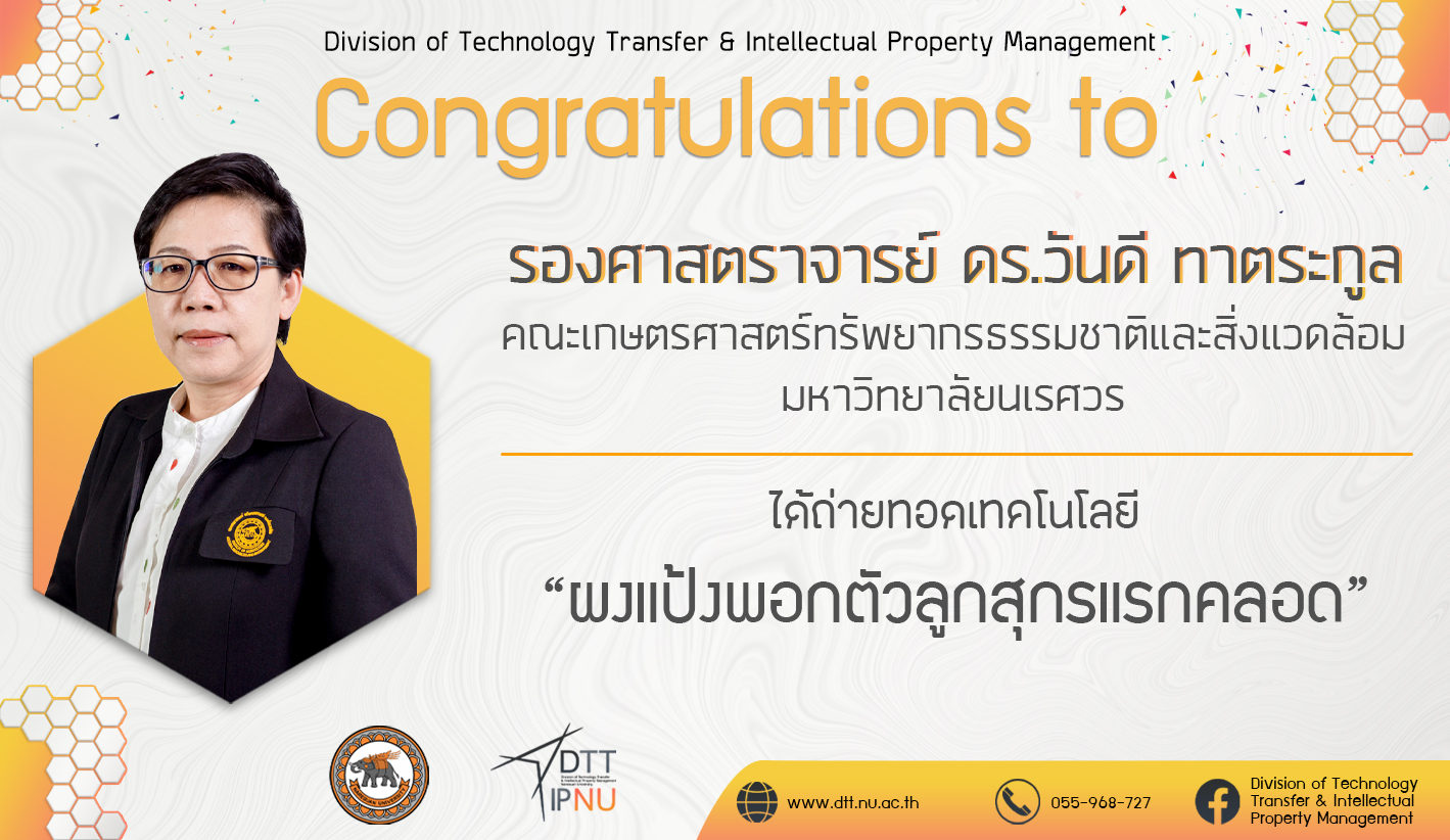 ผงแป้งคลุกตัวลูกสุกรแรกคลอด